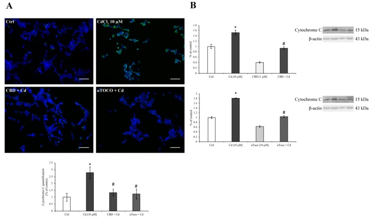 PMC6888634 – ijerph-16-04420-f005