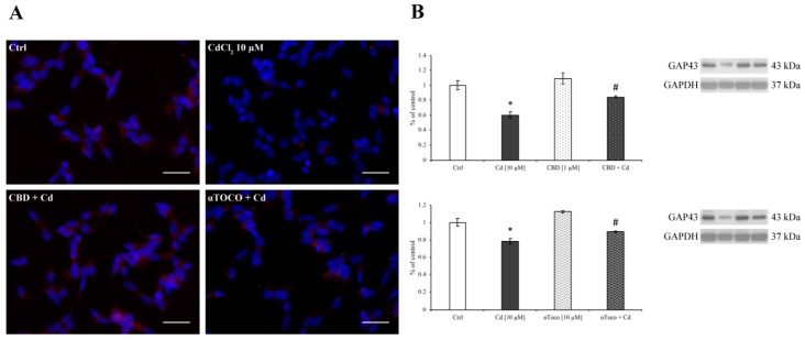 PMC6888634 – ijerph-16-04420-f006
