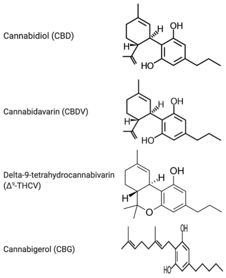 PMC8070313 – ijerph-18-03993-f001