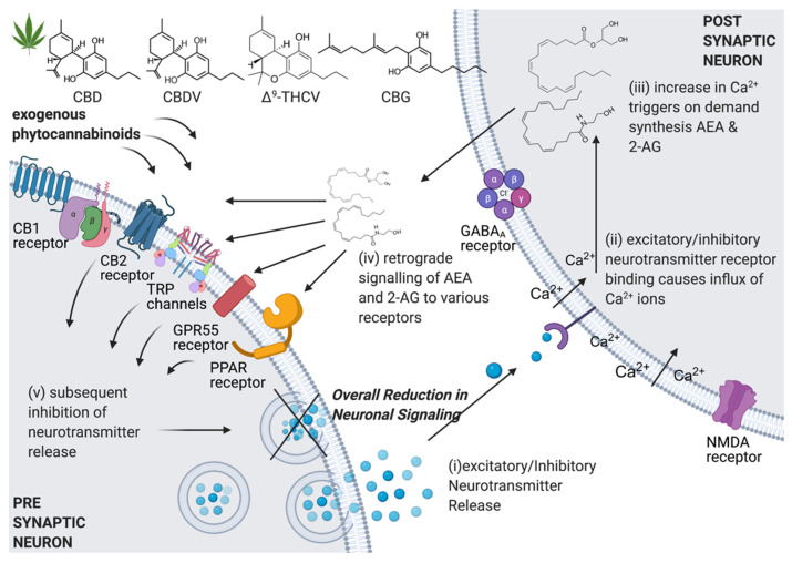 PMC8070313 – ijerph-18-03993-f002