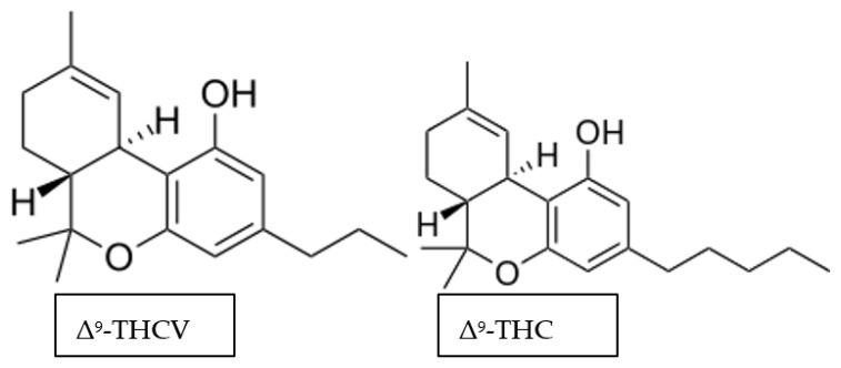 PMC8070313 – ijerph-18-03993-f003