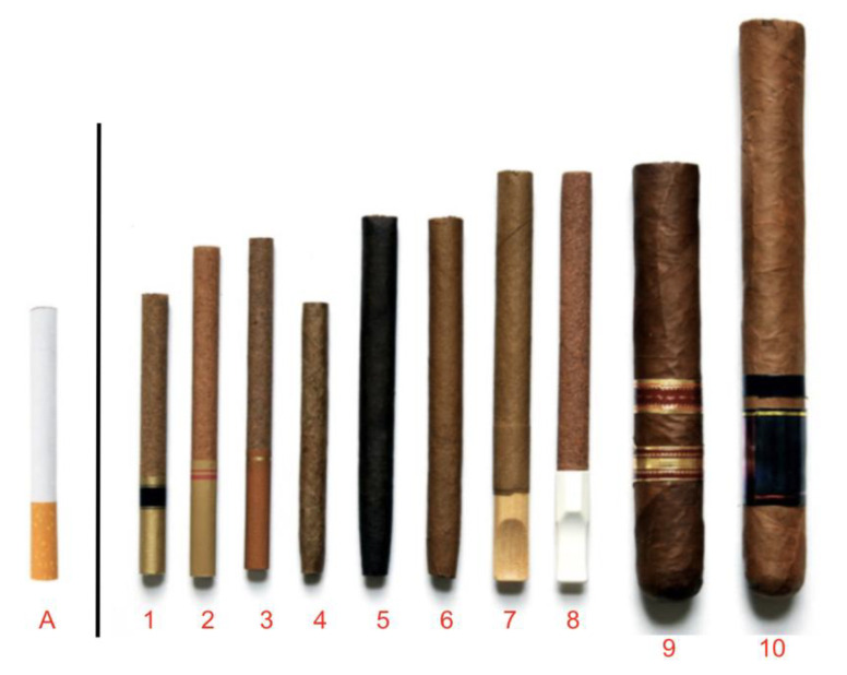 PMC8834713 – ijerph-19-01689-f002