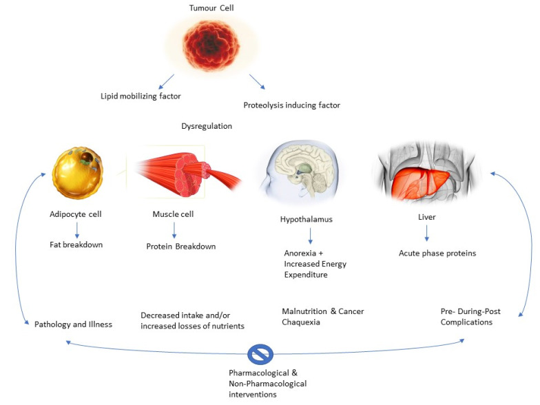 PMC9025820 – ijerph-19-04604-f004