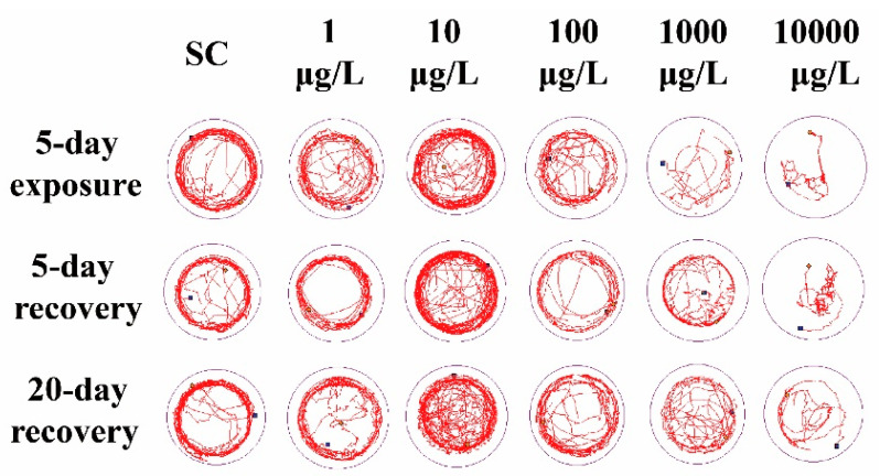 PMC9518391 – ijerph-19-10920-f002