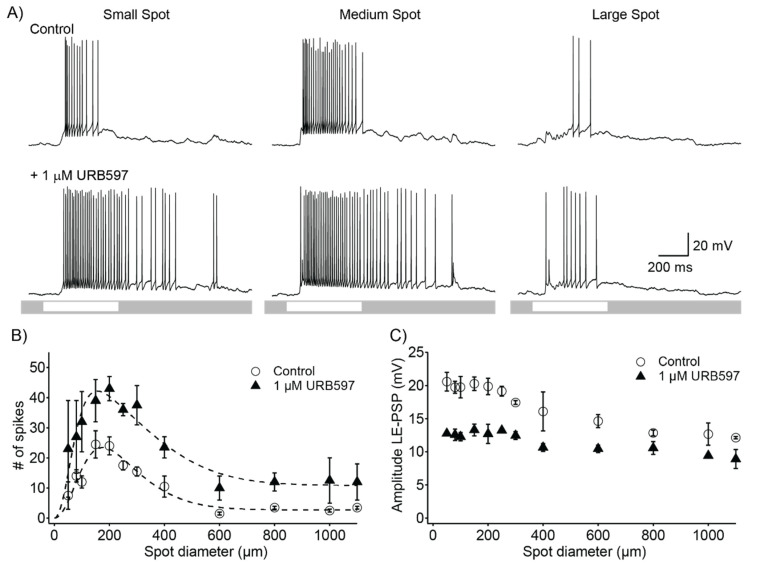 PMC9566182 – ijerph-19-12460-f001