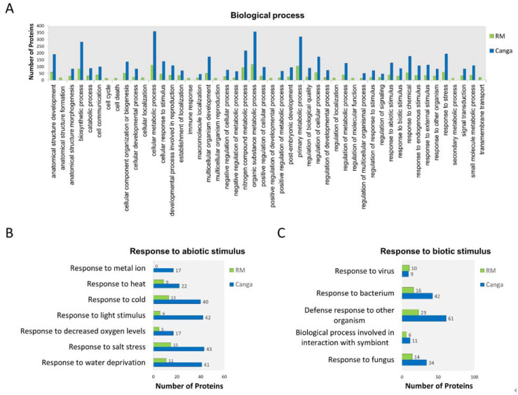 PMC9654444 – ijerph-19-14441-f002