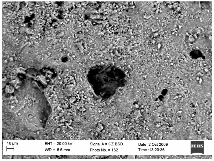 PMC9659056 – ijerph-19-14486-f002