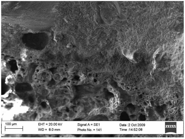 PMC9659056 – ijerph-19-14486-f003