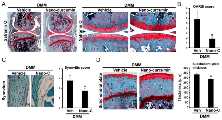 PMC5412295 – ijms-18-00709-f004