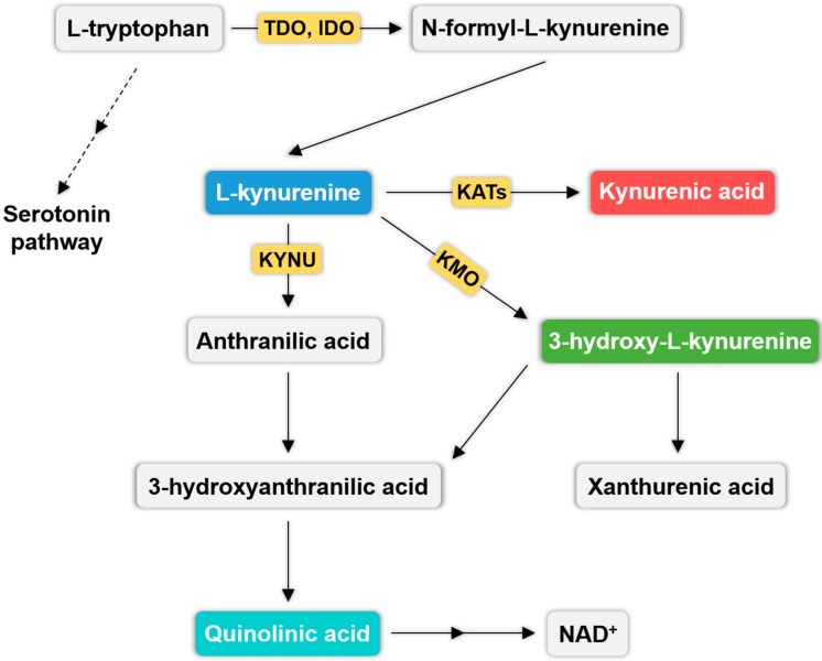 PMC5578009 – ijms-18-01617-f001