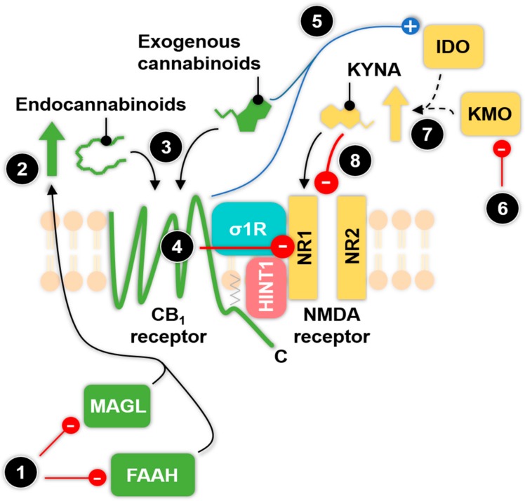 PMC5578009 – ijms-18-01617-f002