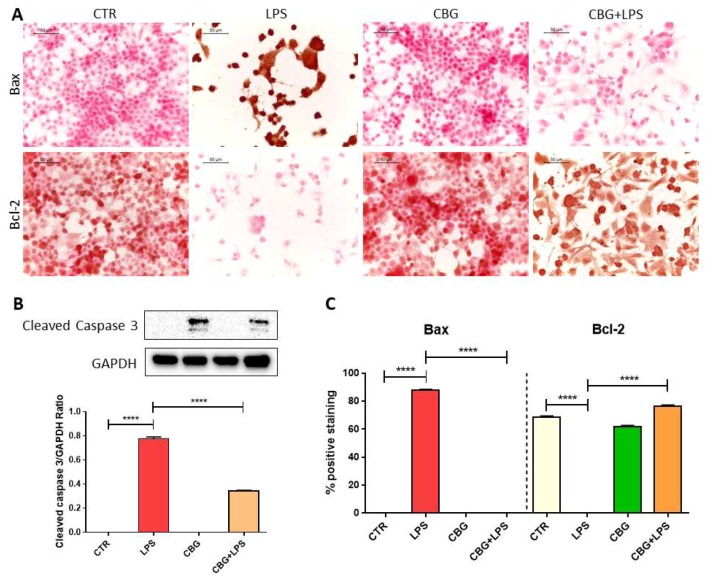 PMC6073490 – ijms-19-01992-f002