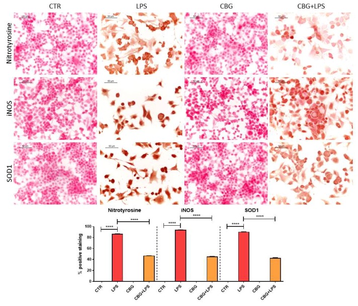 PMC6073490 – ijms-19-01992-f005