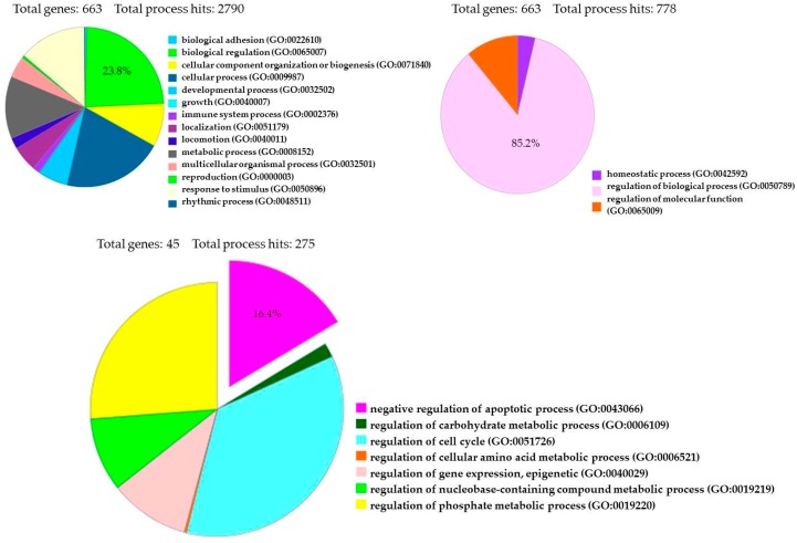 PMC6121255 – ijms-19-02341-f004