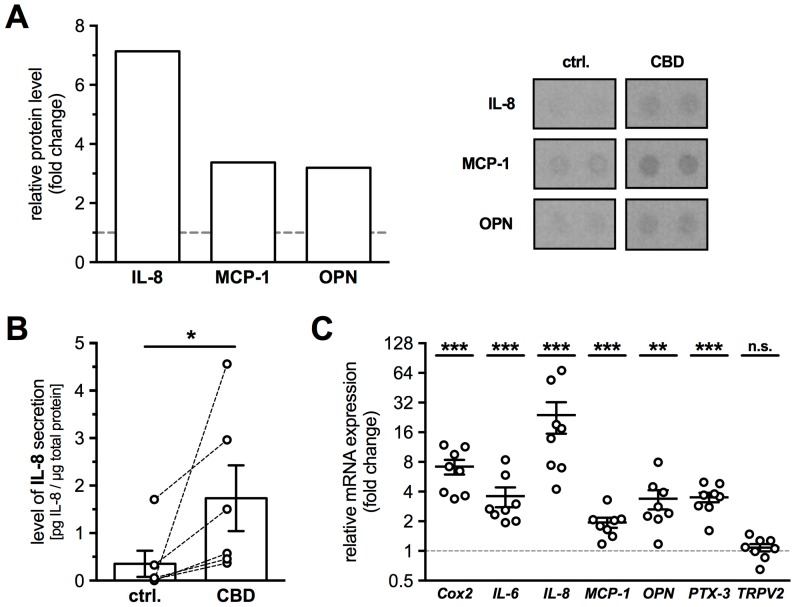 PMC6165404 – ijms-19-02829-f005