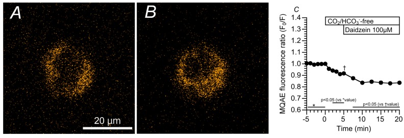 PMC6321431 – ijms-19-03754-f003