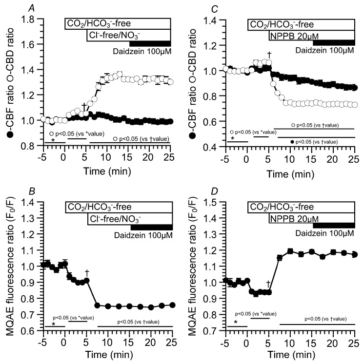 PMC6321431 – ijms-19-03754-f004