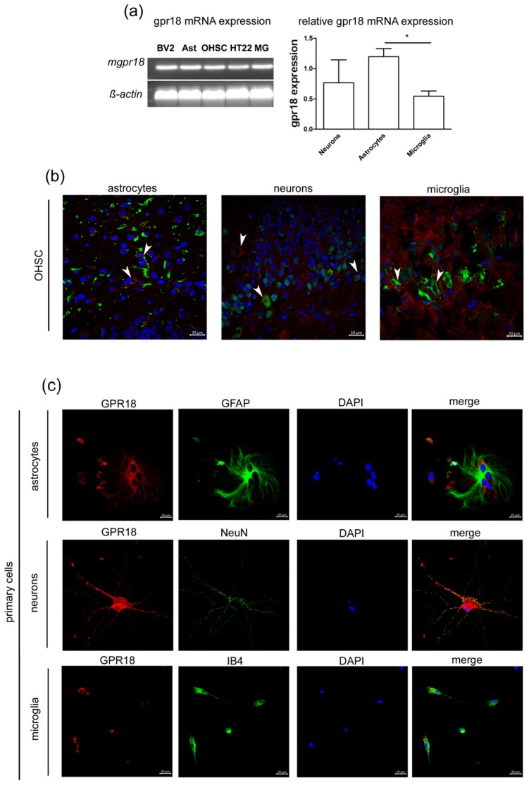 PMC6470786 – ijms-20-01266-f001