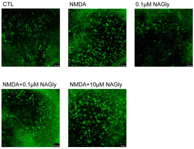 PMC6470786 – ijms-20-01266-f0A2