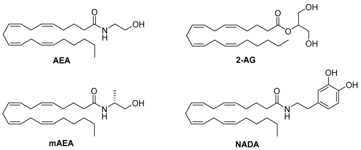 PMC6515405 – ijms-20-01837-f004