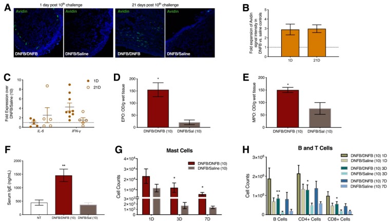 PMC6539044 – ijms-20-02163-f003