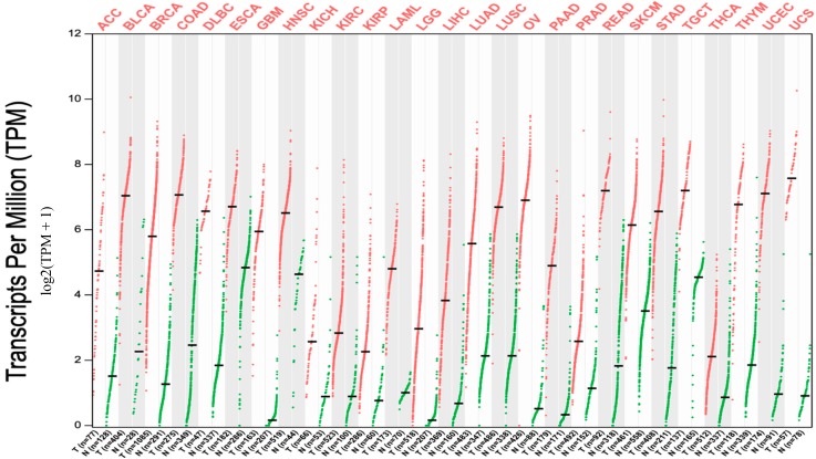 PMC6539744 – ijms-20-02228-f001