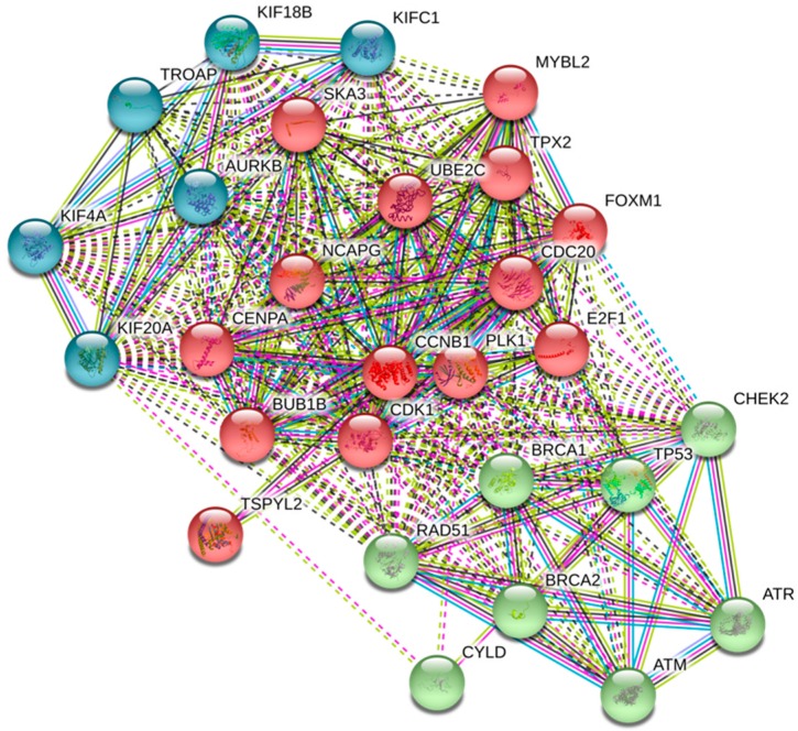 PMC6539744 – ijms-20-02228-f005
