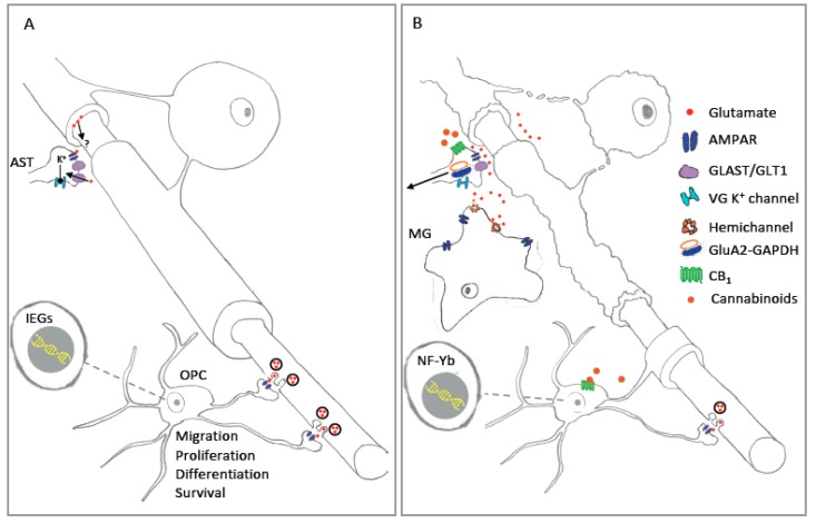 PMC6566241 – ijms-20-02450-f001