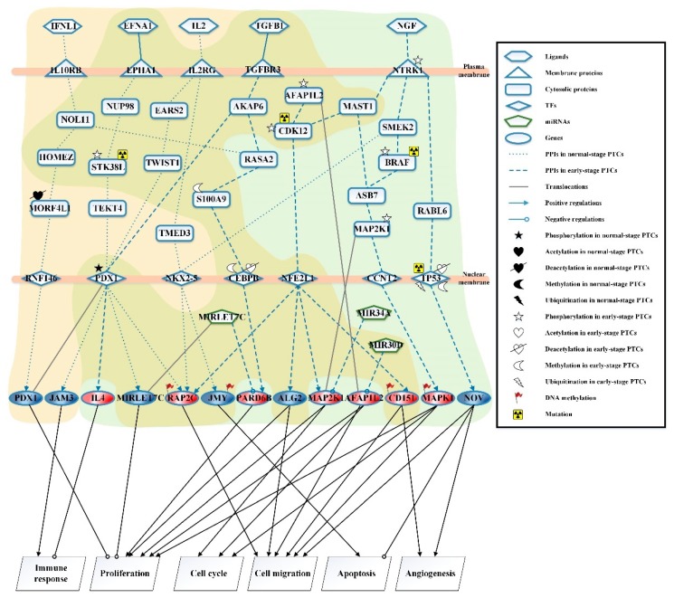 PMC6566633 – ijms-20-02536-f001