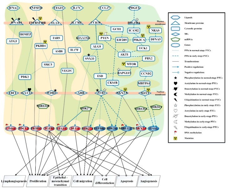 PMC6566633 – ijms-20-02536-f002