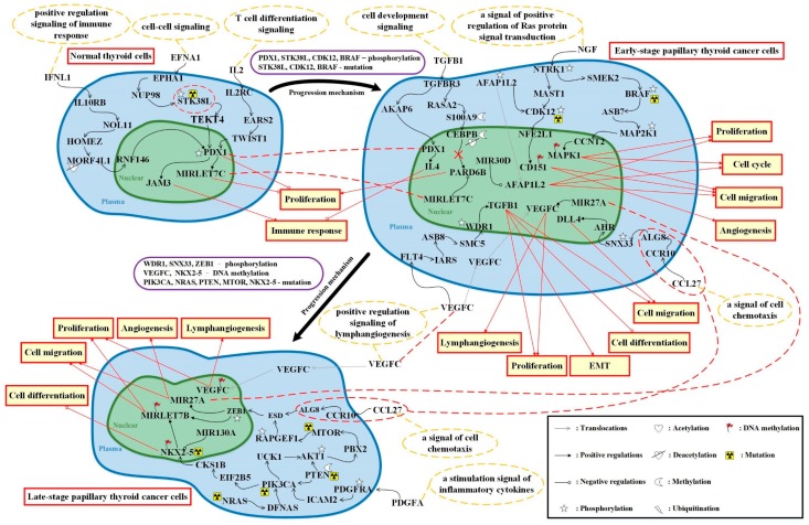 PMC6566633 – ijms-20-02536-f003