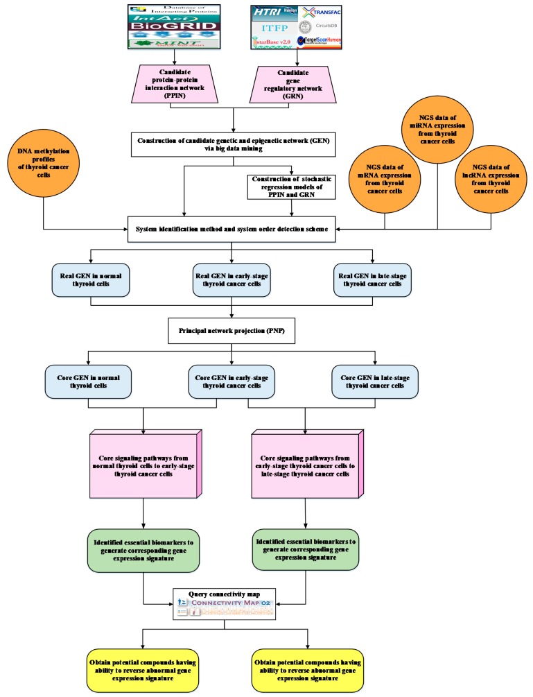 PMC6566633 – ijms-20-02536-f004