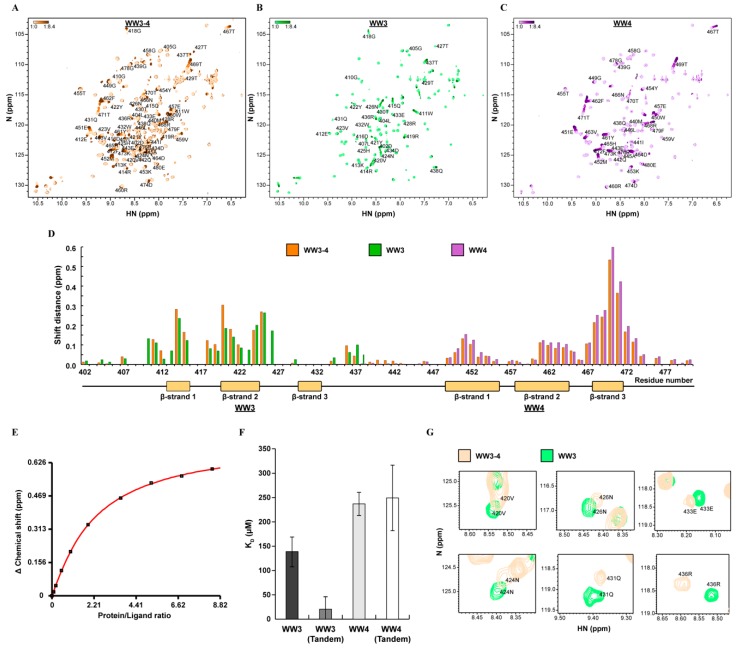 PMC6801763 – ijms-20-04682-f004