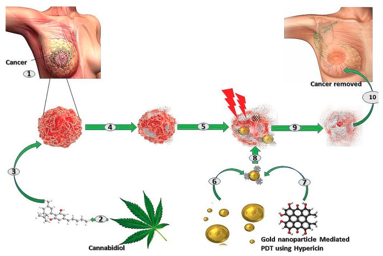 PMC6801525 – ijms-20-04771-f003