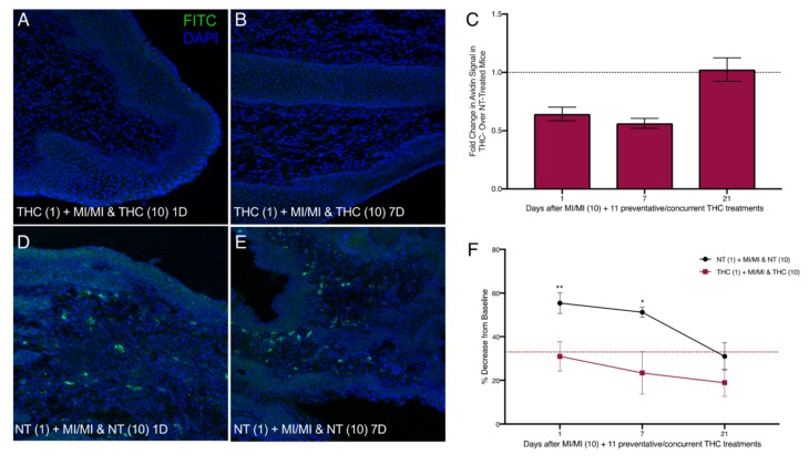 PMC6862067 – ijms-20-05361-f006