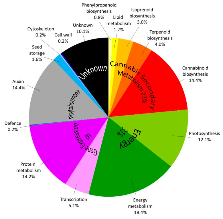 PMC6888629 – ijms-20-05630-f005