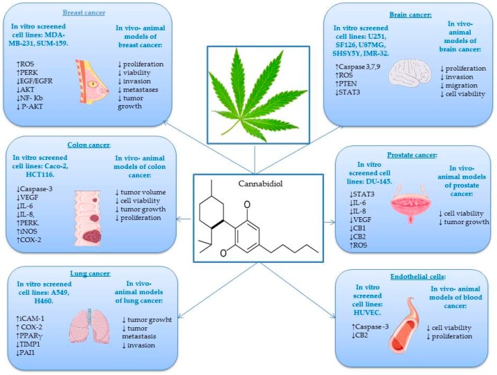 PMC6928757 – ijms-20-05905-f003
