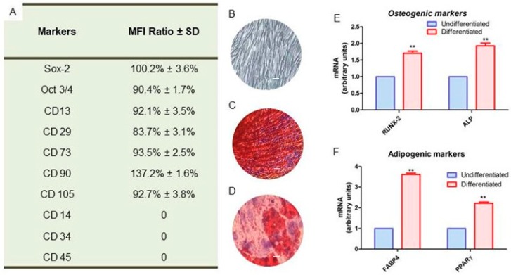 PMC6929002 – ijms-20-06039-f001