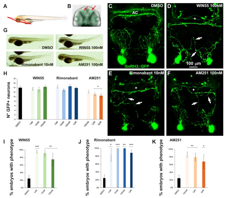 PMC6982252 – ijms-21-00168-f002
