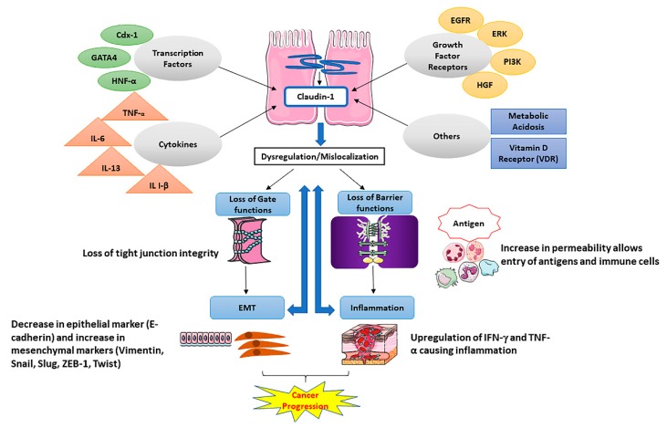 PMC7013445 – ijms-21-00569-f002