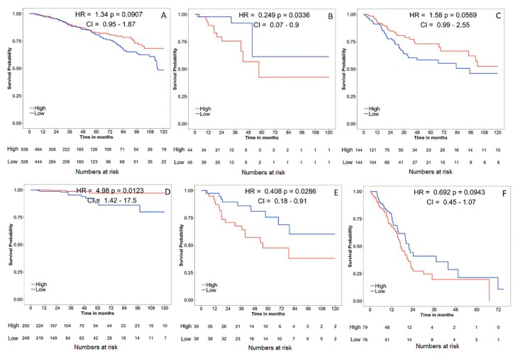 PMC7013445 – ijms-21-00569-f004