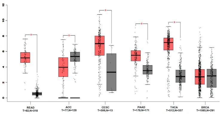 PMC7013445 – ijms-21-00569-f005