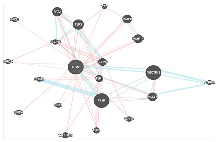 PMC7013445 – ijms-21-00569-f006