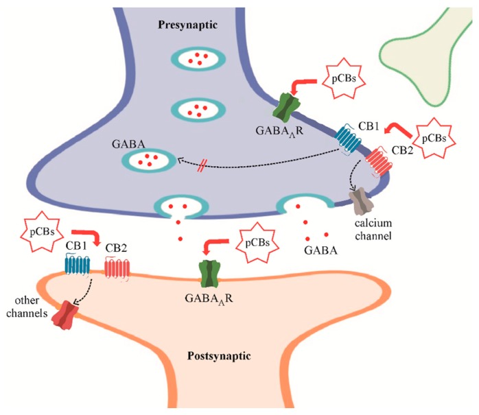 PMC7038116 – ijms-21-00723-f001