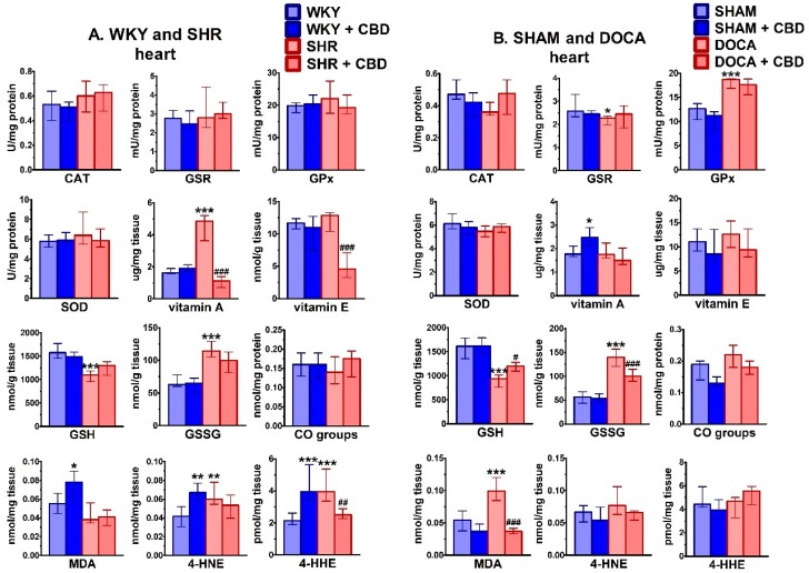 PMC7072941 – ijms-21-01295-f005