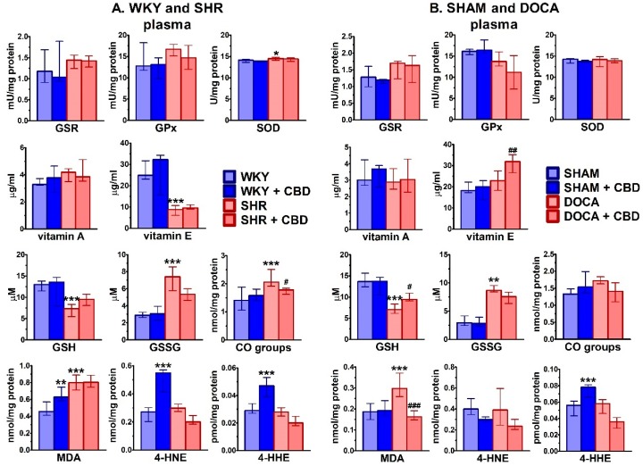 PMC7072941 – ijms-21-01295-f006