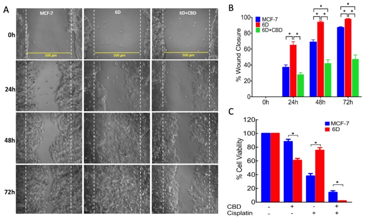 PMC7177247 – ijms-21-02429-f002
