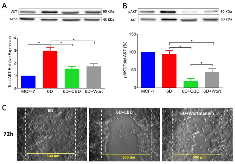 PMC7177247 – ijms-21-02429-f007