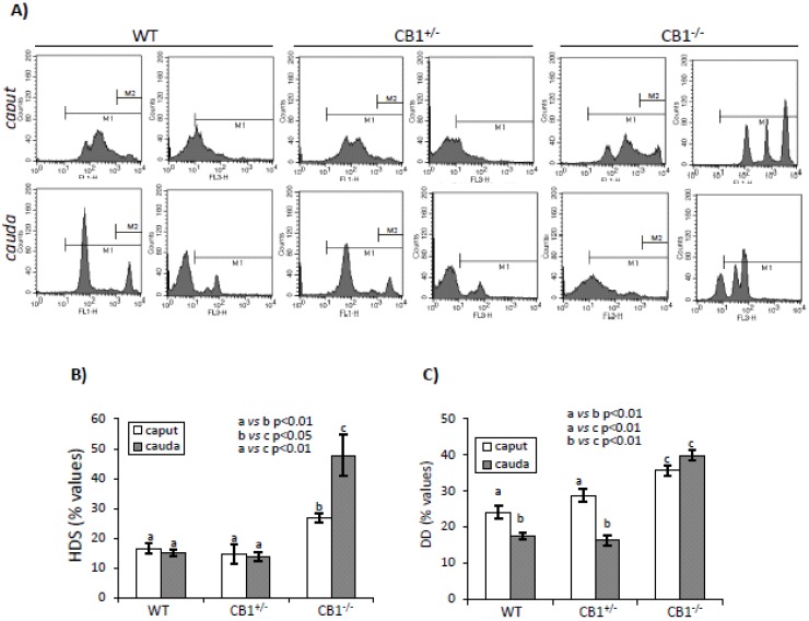 PMC7247701 – ijms-21-03117-f001