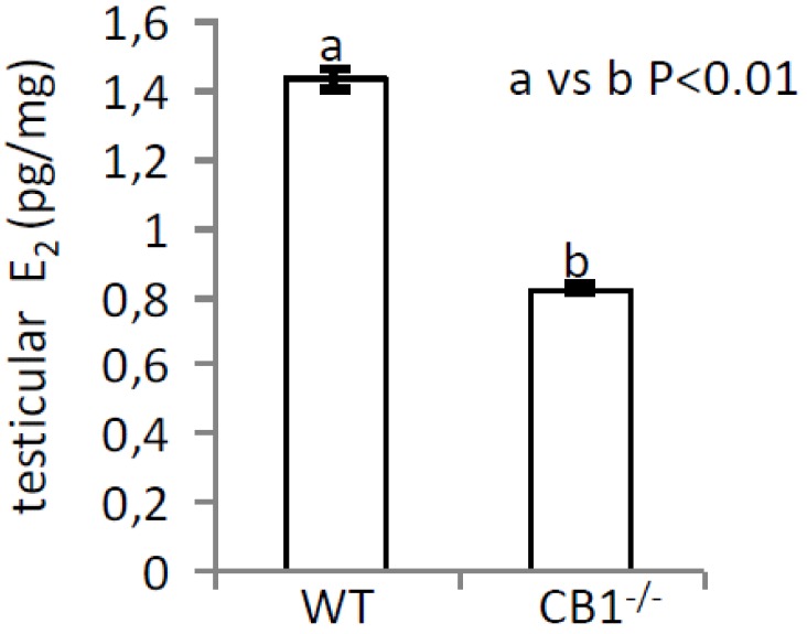 PMC7247701 – ijms-21-03117-f004